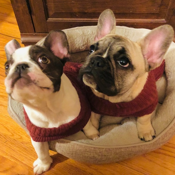 Meet your Posher, Leesa - Picture 1 of 1